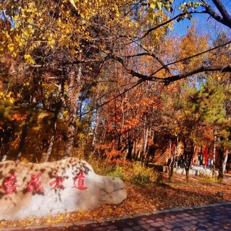 如何制定一个有效的篮球训练支持计划_2
